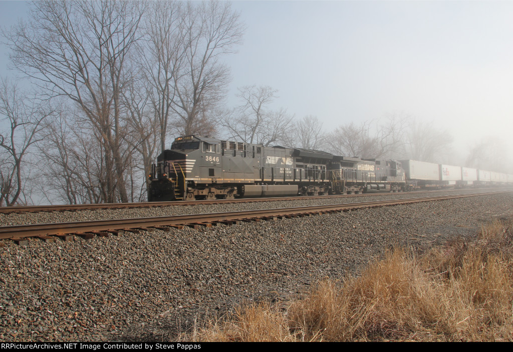 NS 3646 emerges from the fog